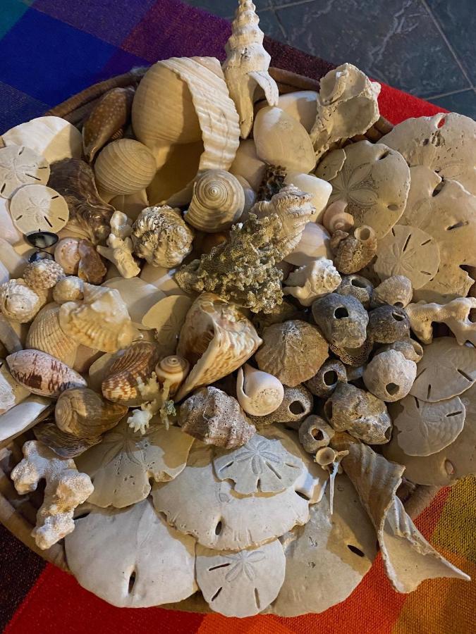 Uverito Sand Dollar B&B Las Tablas Kültér fotó